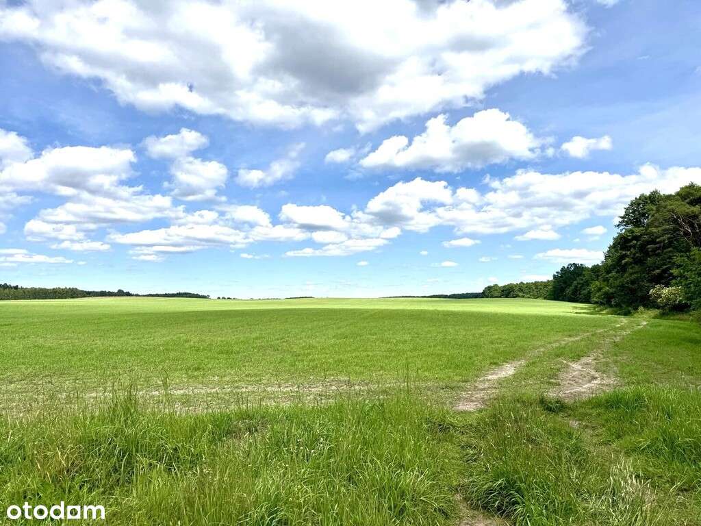 Na sprzedaż działki nad Jeziorem Wierzchowo! - Pełny obrazek: 4/20