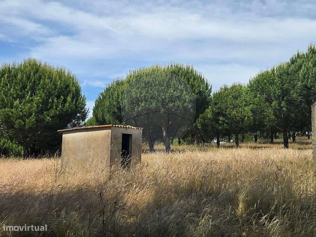 Quinta T3 para venda-5