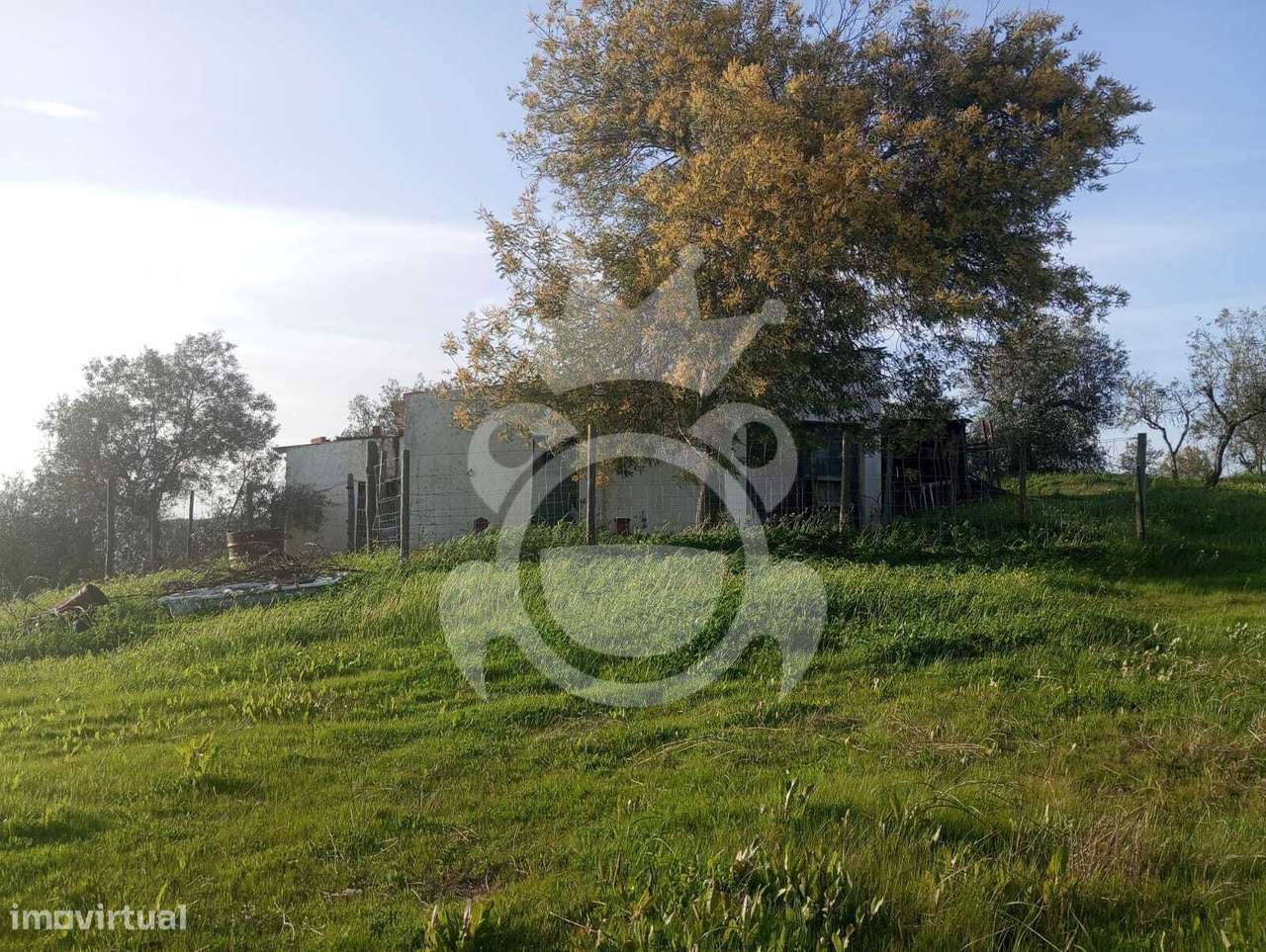 Terreno à venda – 2.500 m² em Alqueva - Grande imagem: 4/13