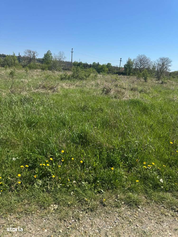 Urgent Vand teren Lilieci Hemiusi , ideial pentru investiti - Imagine principală: 5/11