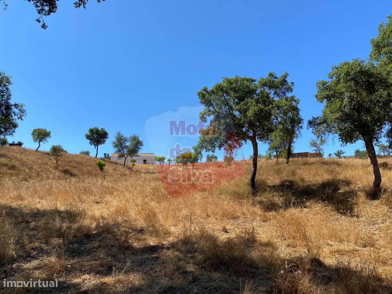 Quinta agrícola com habitação em São Bartolomeu da Serra-8