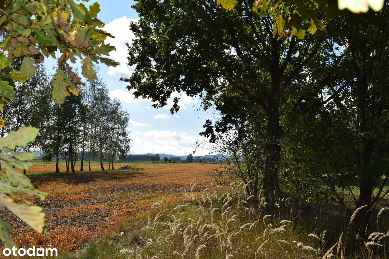 Dom do remontu w Głowience na 38 a działce - Pełny obrazek: 4/14