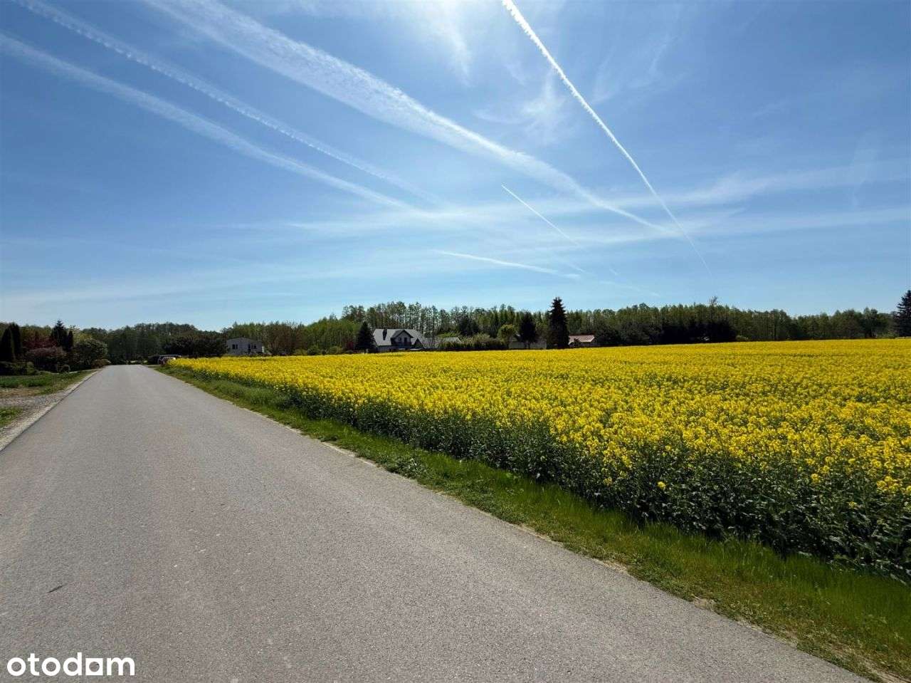 Idealny grunt Pod Inwestycje ! Okazja - Pełny obrazek: 3/6