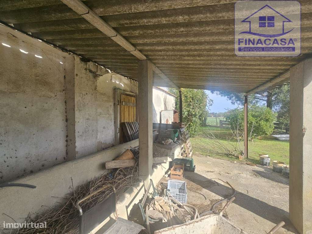EXCLUSIVO - Quinta com 2069 m2, T1 e um armazém - Asseiceira(Palmela)-33