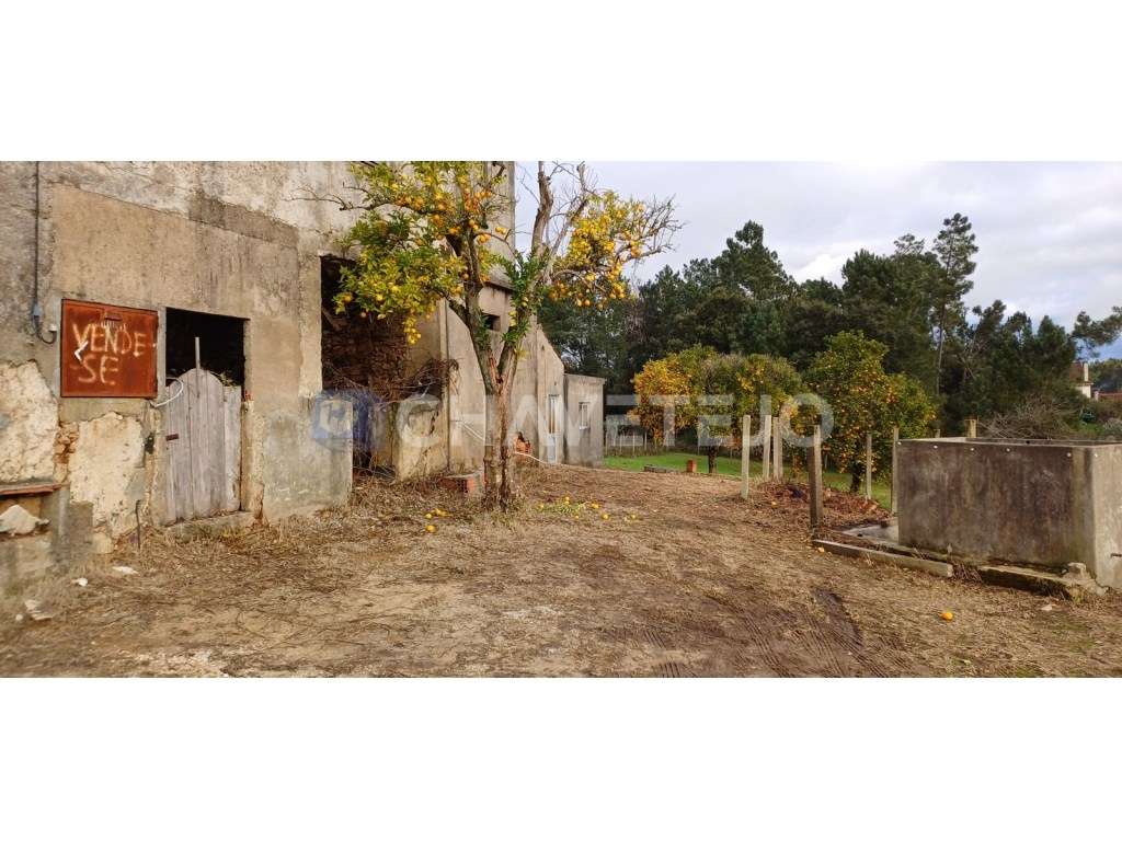 Casa Antiga Com Arrecadação e Terreno Para Recuperar, Cernache do B...-21