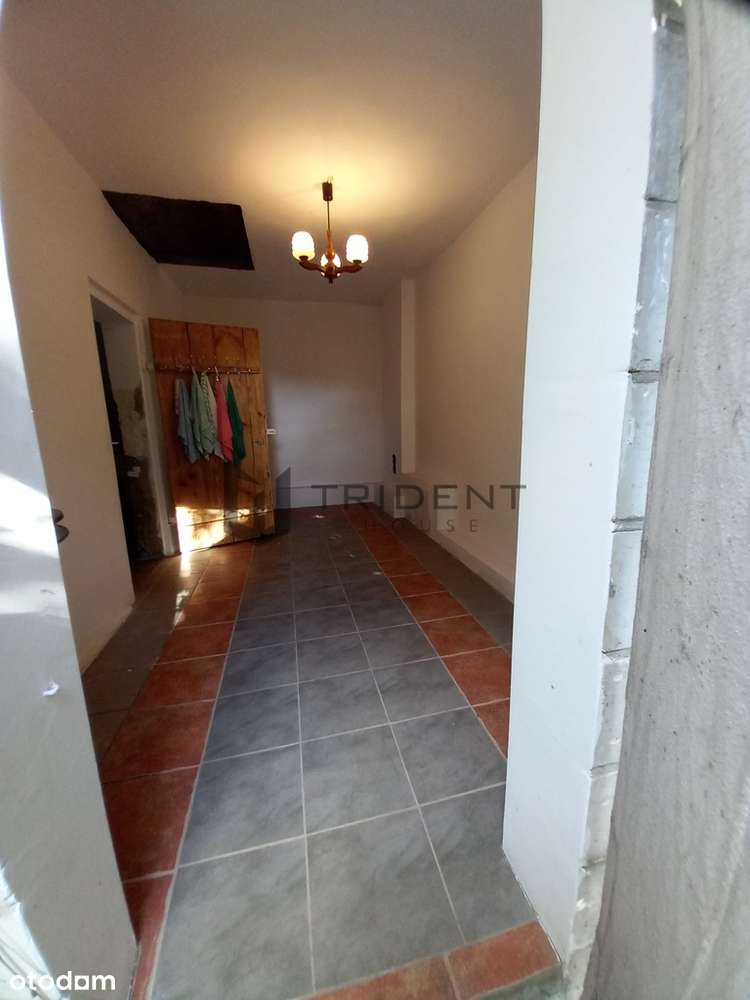 109/11303/OGS - Pełny obrazek: 4/10