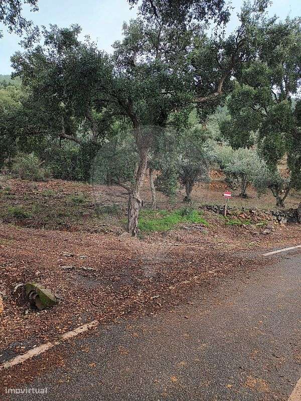 Terreno  para venda - Grande imagem: 2/7