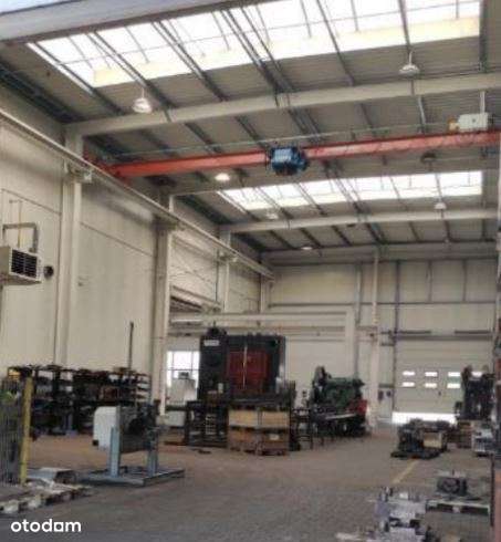 Budynki magazynowe na sprzedaż, Kutno - Pełny obrazek: 4/4