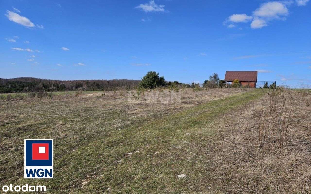 Widokowa działka siedliskowa na Jurze - Pełny obrazek: 4/13