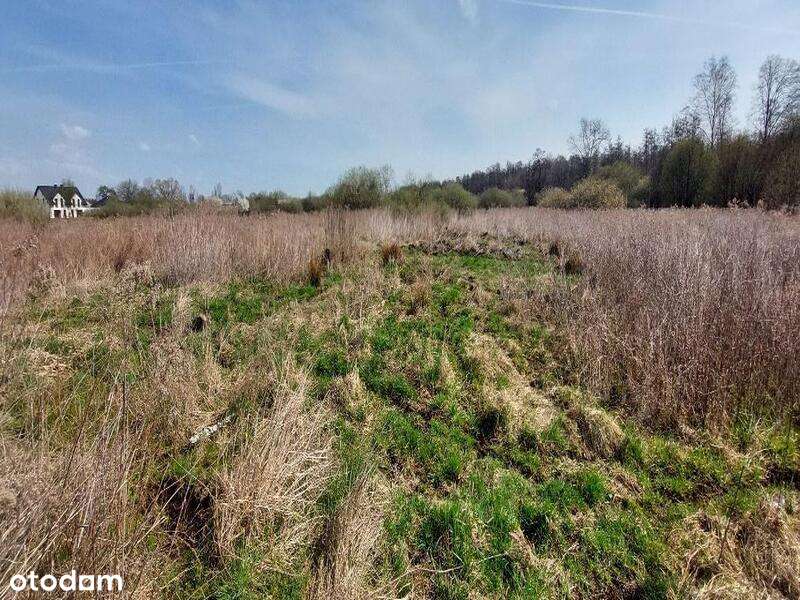 Udział wynoszący 1/2 w prawie własności nieruchomości - Pełny obrazek: 2/7