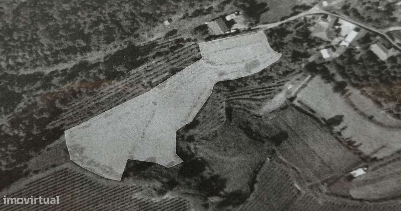 Terreno em Dornelas; Amares-12