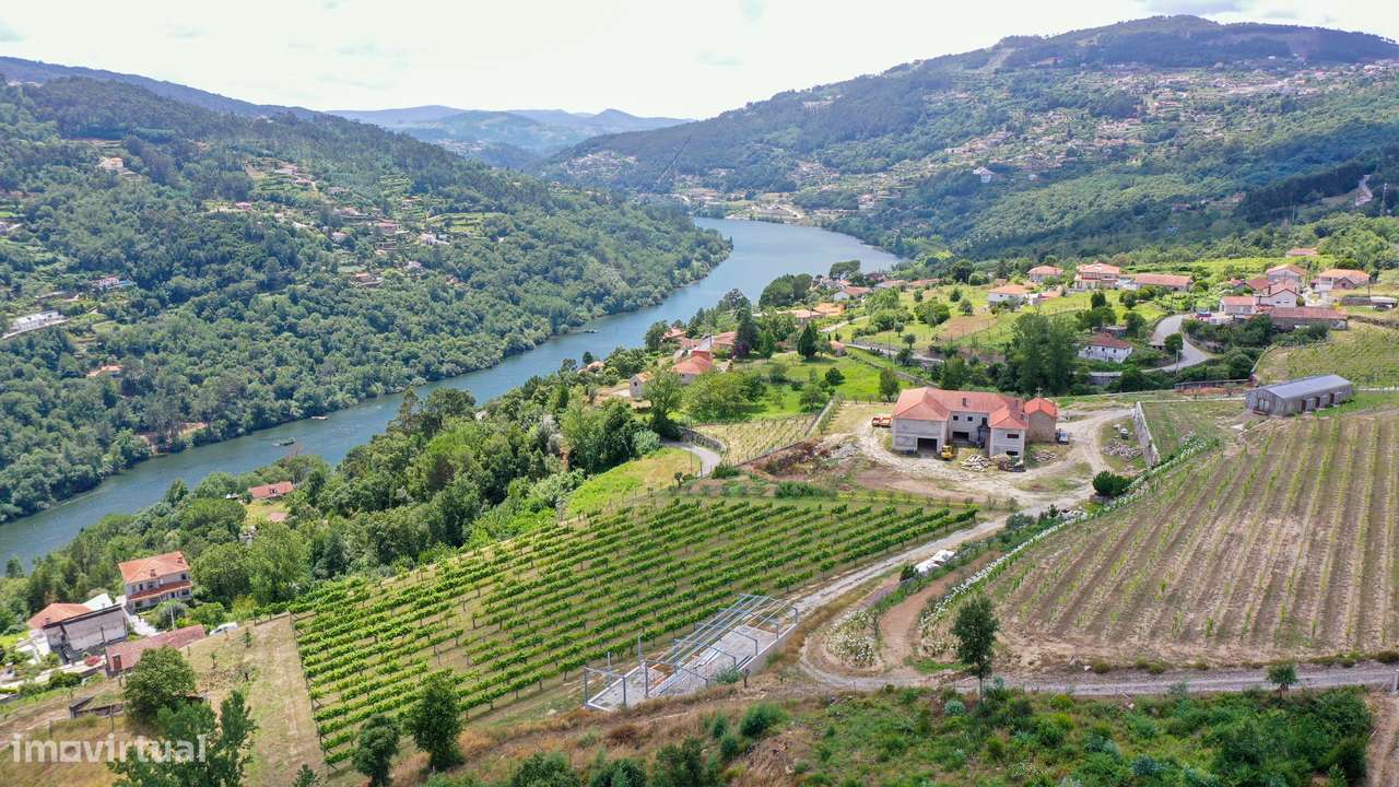 Quinta  Venda em Sande e São Lourenço,Marco de Canaveses - Grande imagem: 5/53