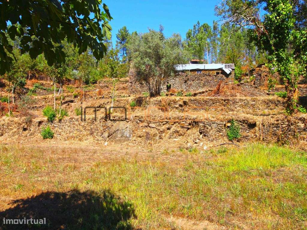 Quinta Isolada com Margem de Rio e Potencial de Eco-Retiro - Arouca-32