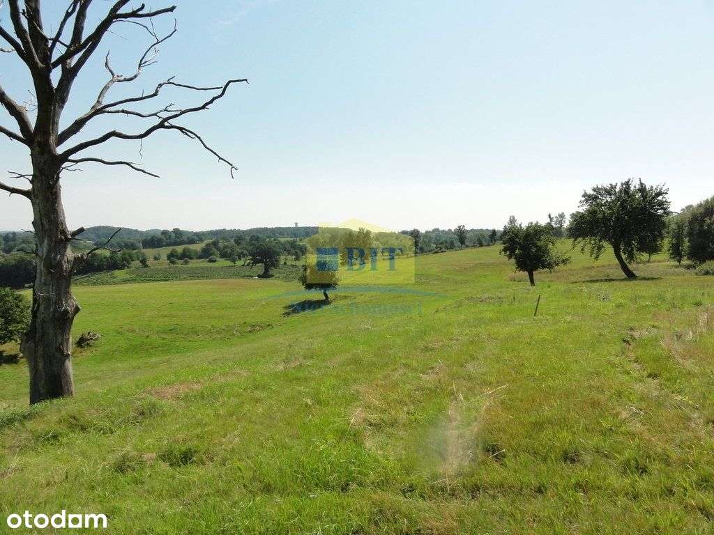 Działka 7,64ha z pięknym widokiem na okolicę!! - Pełny obrazek: 5/11