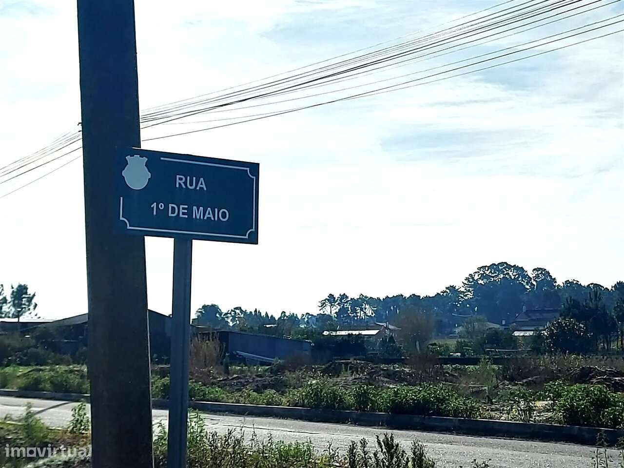 Terreno agrícola em Covão do Lobo, Vagos - Grande imagem: 4/5