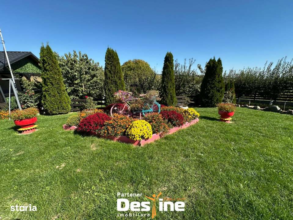 Bucovina Mica - Proprietate cu potential turistic in Tatarusi - Imagine principală: 3/12