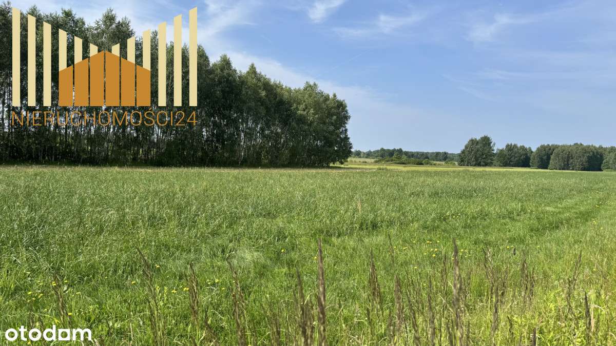 457956 - Pełny obrazek: 4/5