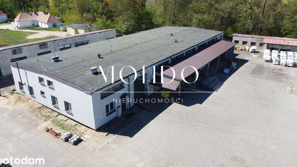 Hala magazynowa| 220m2 i 850m2 | plac składowy | - Pełny obrazek: 5/20