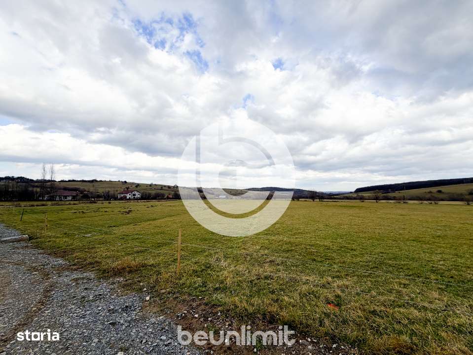 Teren intravilan in Tocile - 4354 m² - 2 fronturi - 49 euro/mp-16