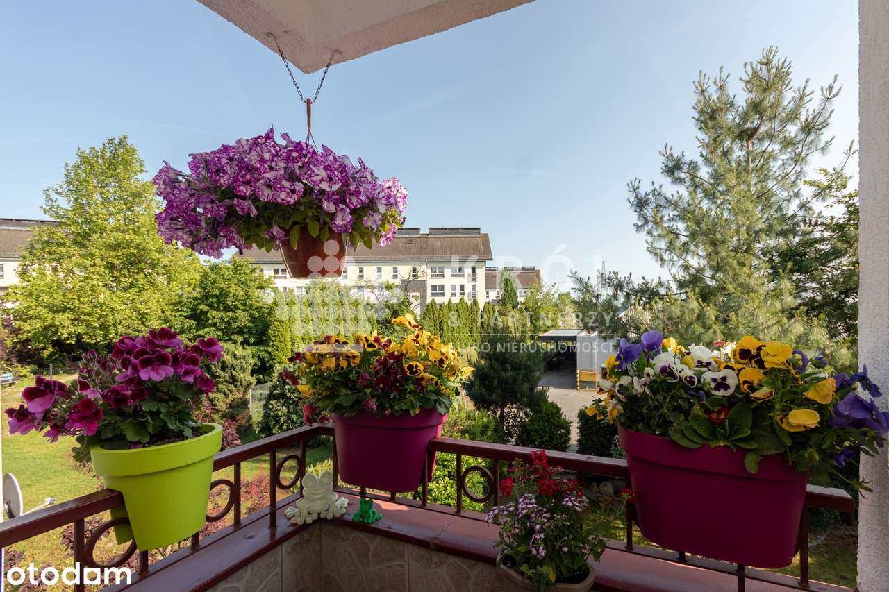 HIT! 2 pokojowe mieszkanie na Warszewie do wejścia!-13