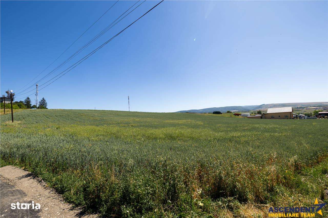 FILM!  1.400 mp, teren intravilan, in Maierus, Brasov - Imagine principală: 4/20