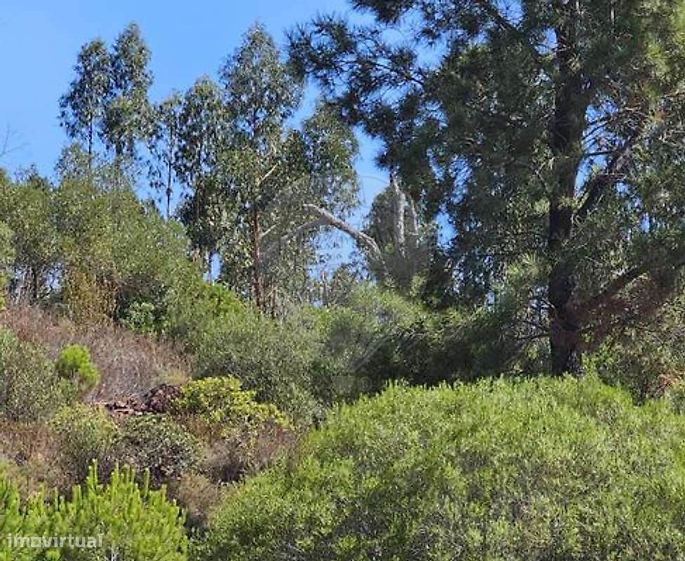 Quinta  para venda - Grande imagem: 5/19