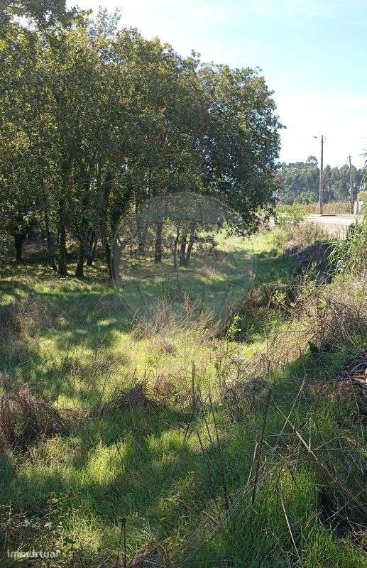 Terreno  para venda - Grande imagem: 5/23