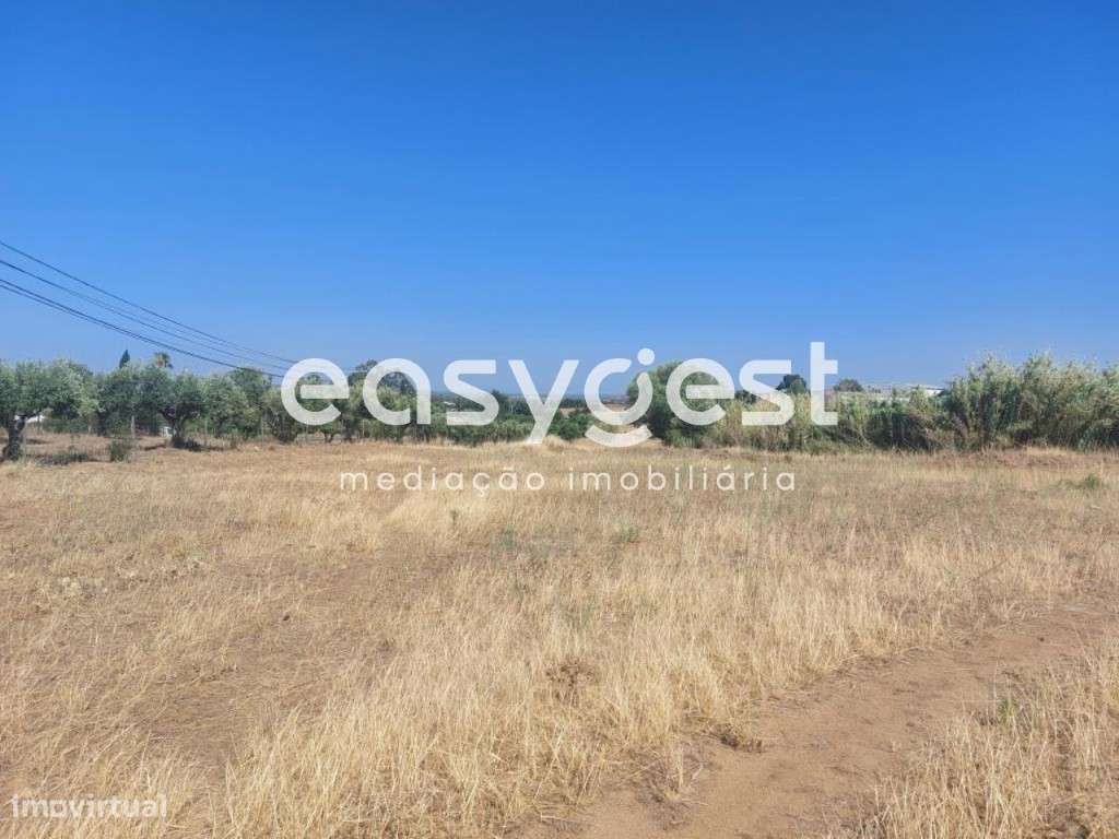 Terreno em Beja com 12.000m2 com possibilidade construção - Grande imagem: 5/20