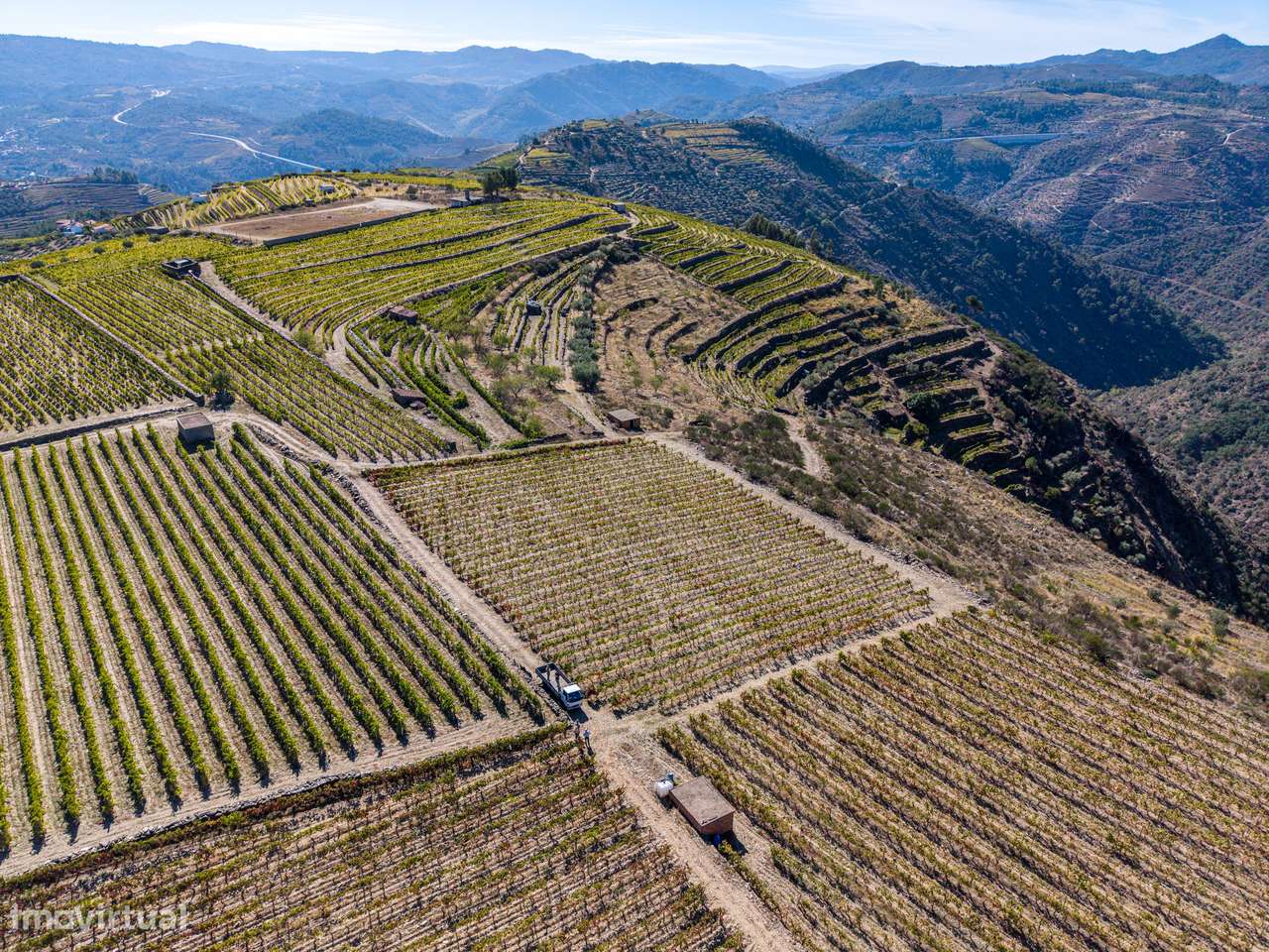 VINHA À VENDA EM MURÇA – REGIÃO DEMARCADA DO DOURO-6