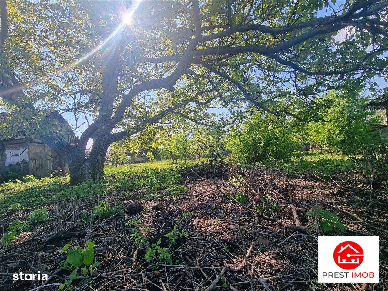 Teren intravilan de vanzare 14900 mp, 43m deschidere  Mureseni, Mures - Imagine principală: 1/13
