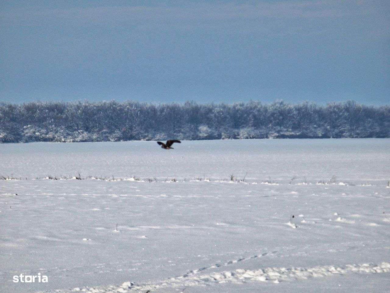 Zona Frumușani. Teren dezvoltatori. 72 loturi P+1+M. 8 x P+4. 4 x P+2-7