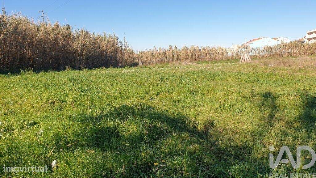 Terreno em Ferrel de 1200,00 m2 - Grande imagem: 3/8