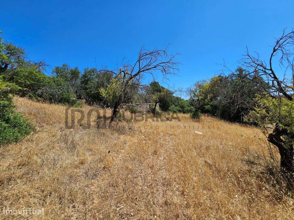 Bonito terreno com ruína em zona calma-15