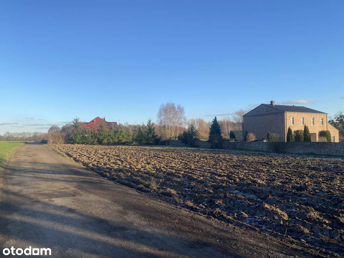 Działka 2500 m² blisko lasu i jeziora - Pełny obrazek: 4/9