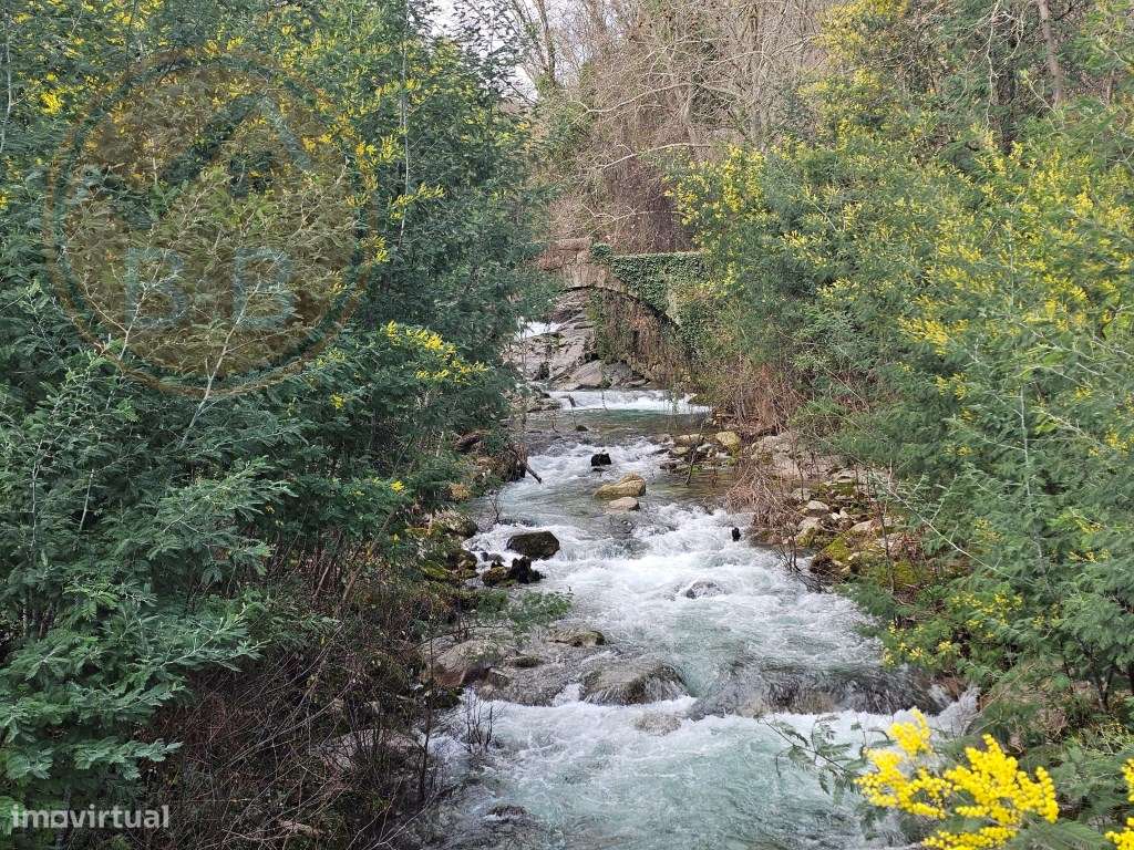 Moradia de 3 Pisos para Venda - Moimenta, Cabeceiras de Basto-35