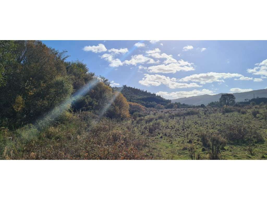 Monte Alentejano com projecto-5