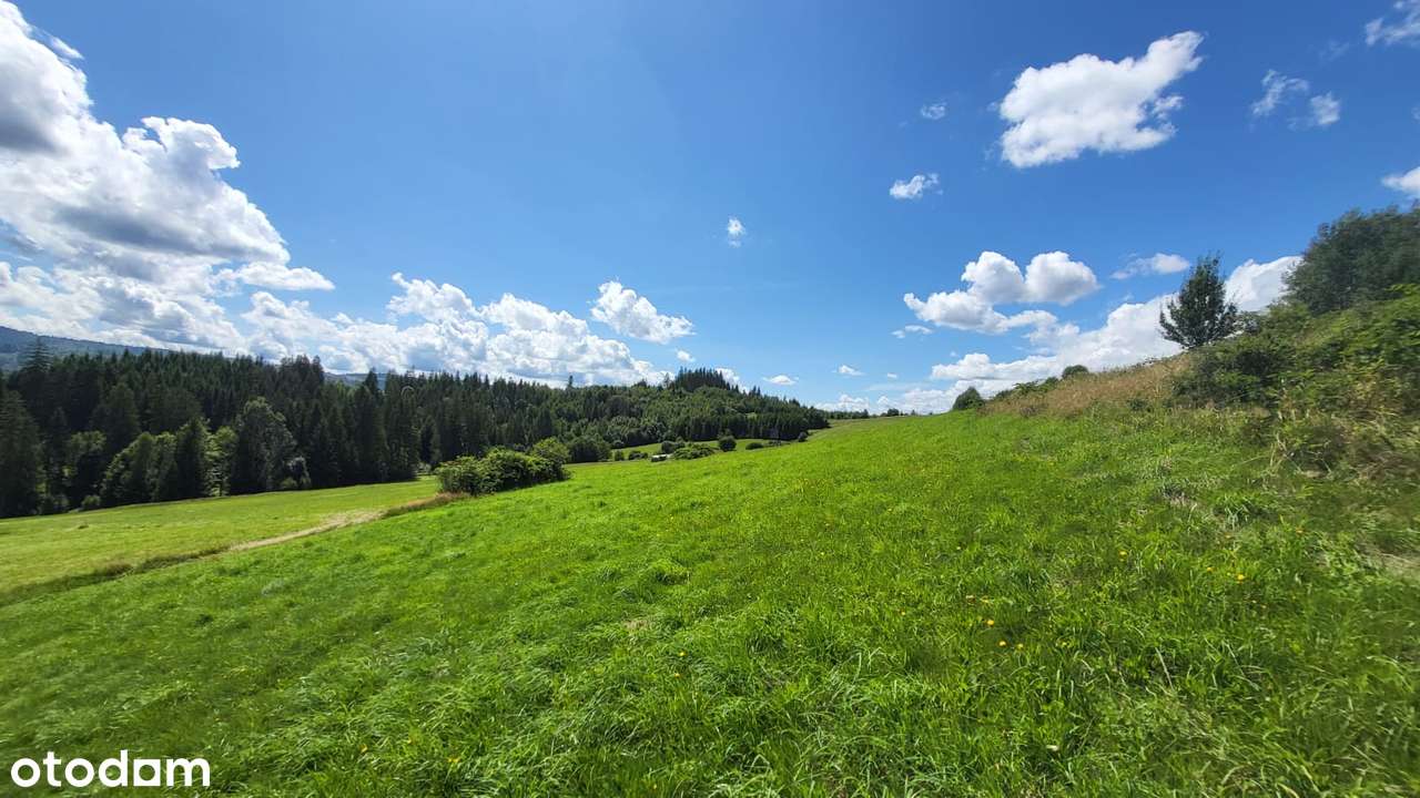 Działka rolna, 3000 m, Jaworzynka - Pełny obrazek: 4/8