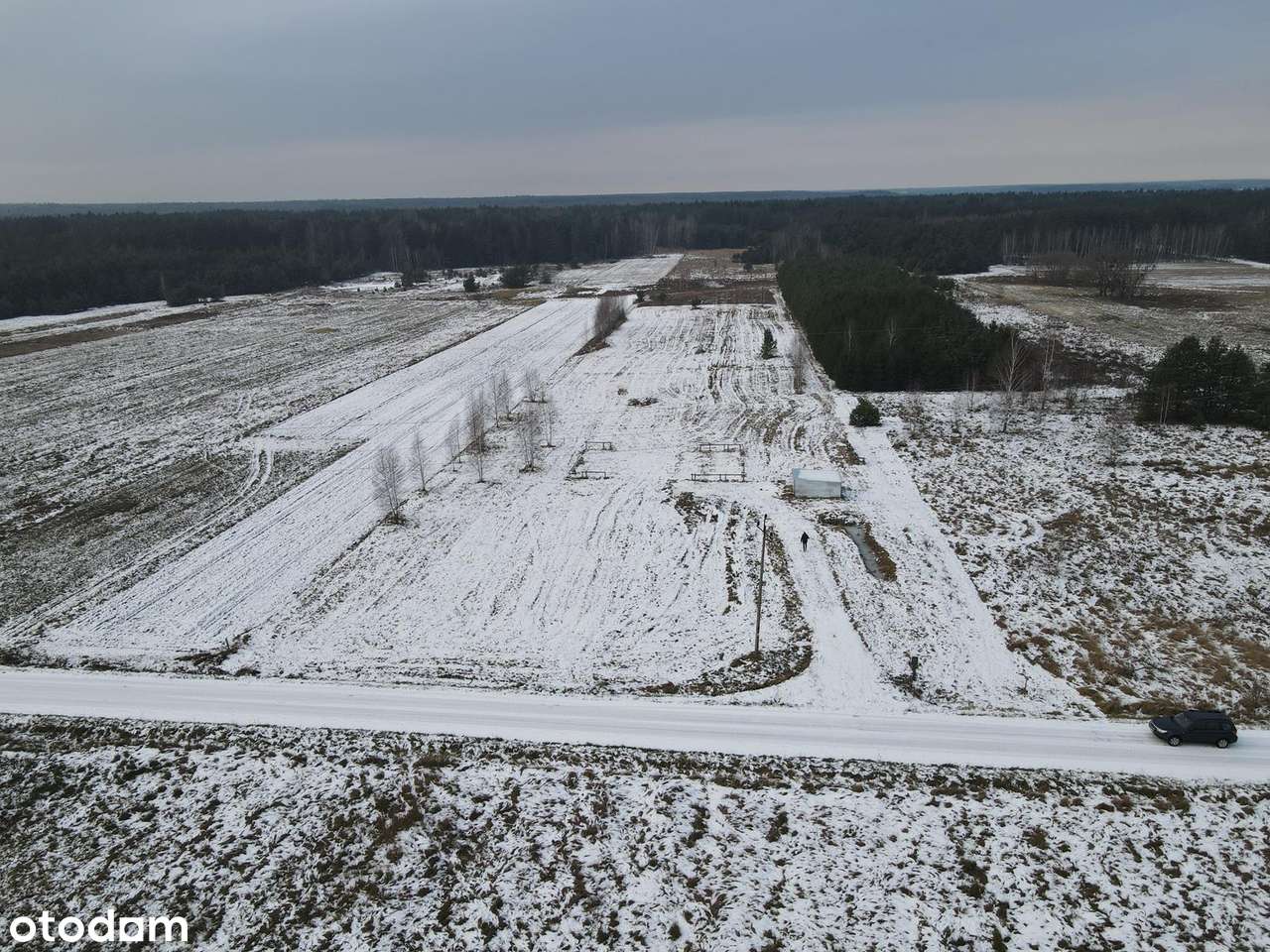 ELIASZUKI Dz o pow 4,4310 ha z własnym Puszczańskim Lasem BEZ SASIADÓW-14
