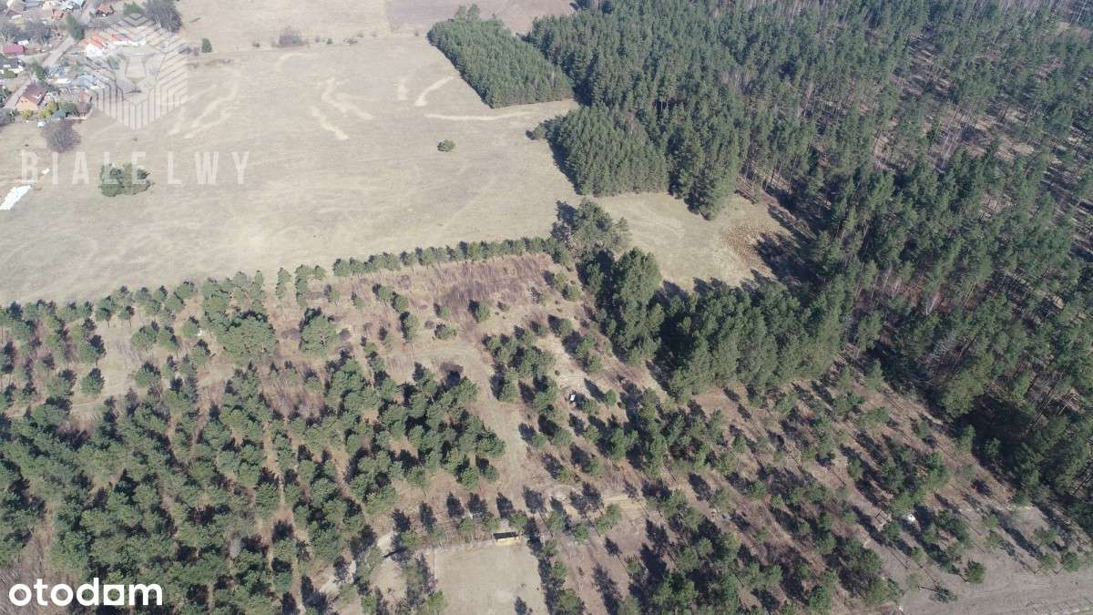 Działka rekreacyjna, w ciszy, koło lasu i jezior - Pełny obrazek: 5/8