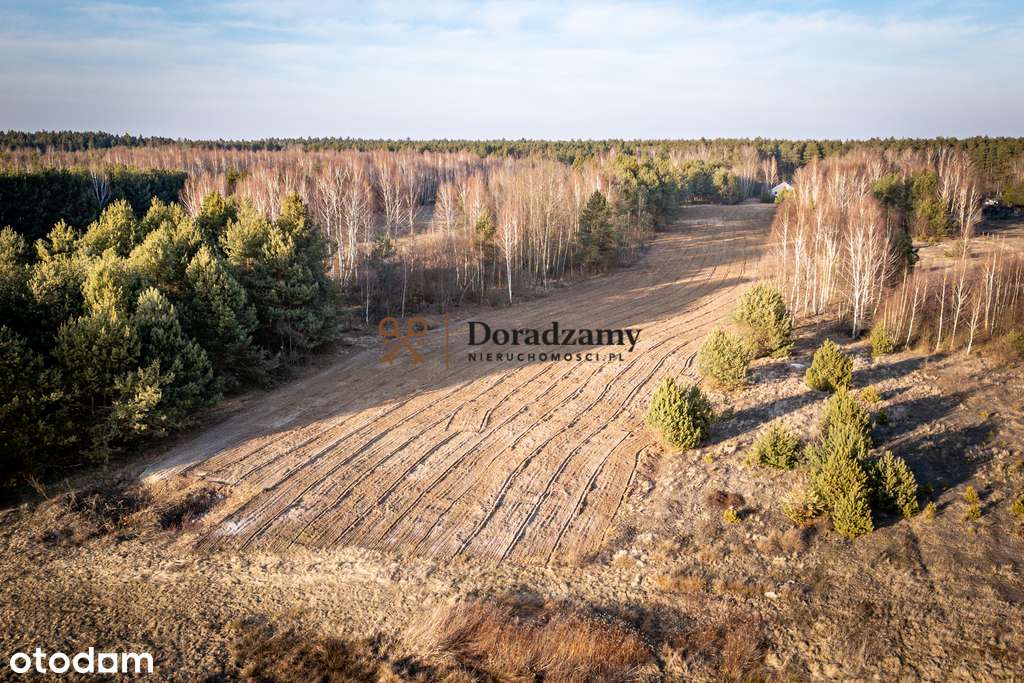 Działki z warunkami zabudowy - Pełny obrazek: 4/4