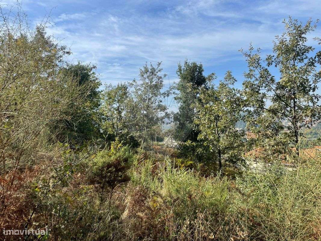 Terreno  para venda - Grande imagem: 5/8