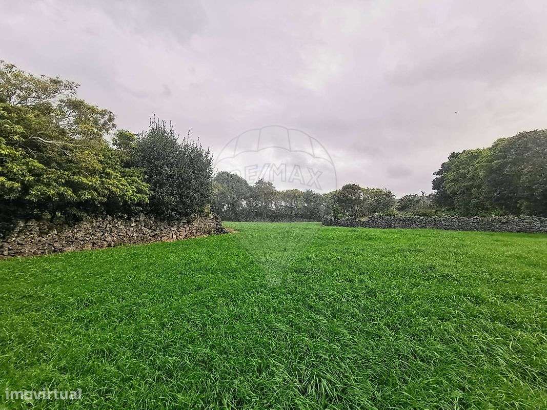 Terreno  para venda - Grande imagem: 4/17