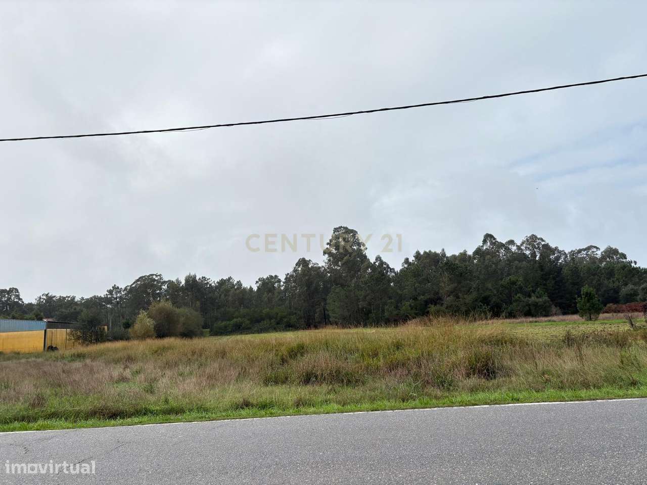 Terreno em Vagos na Nacional 109 com Excelente Exposição Solar - Grande imagem: 5/5