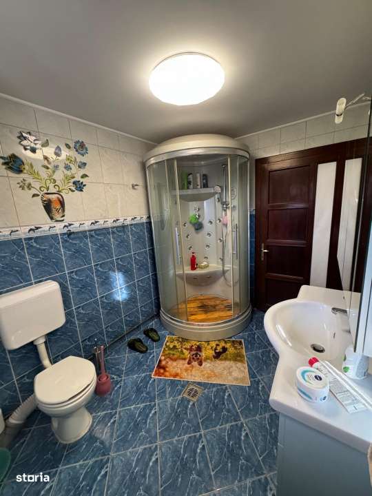 Casa Fundulea si Buc Vara+Spatiu comercial 500 euro chirie lunara -ran-11