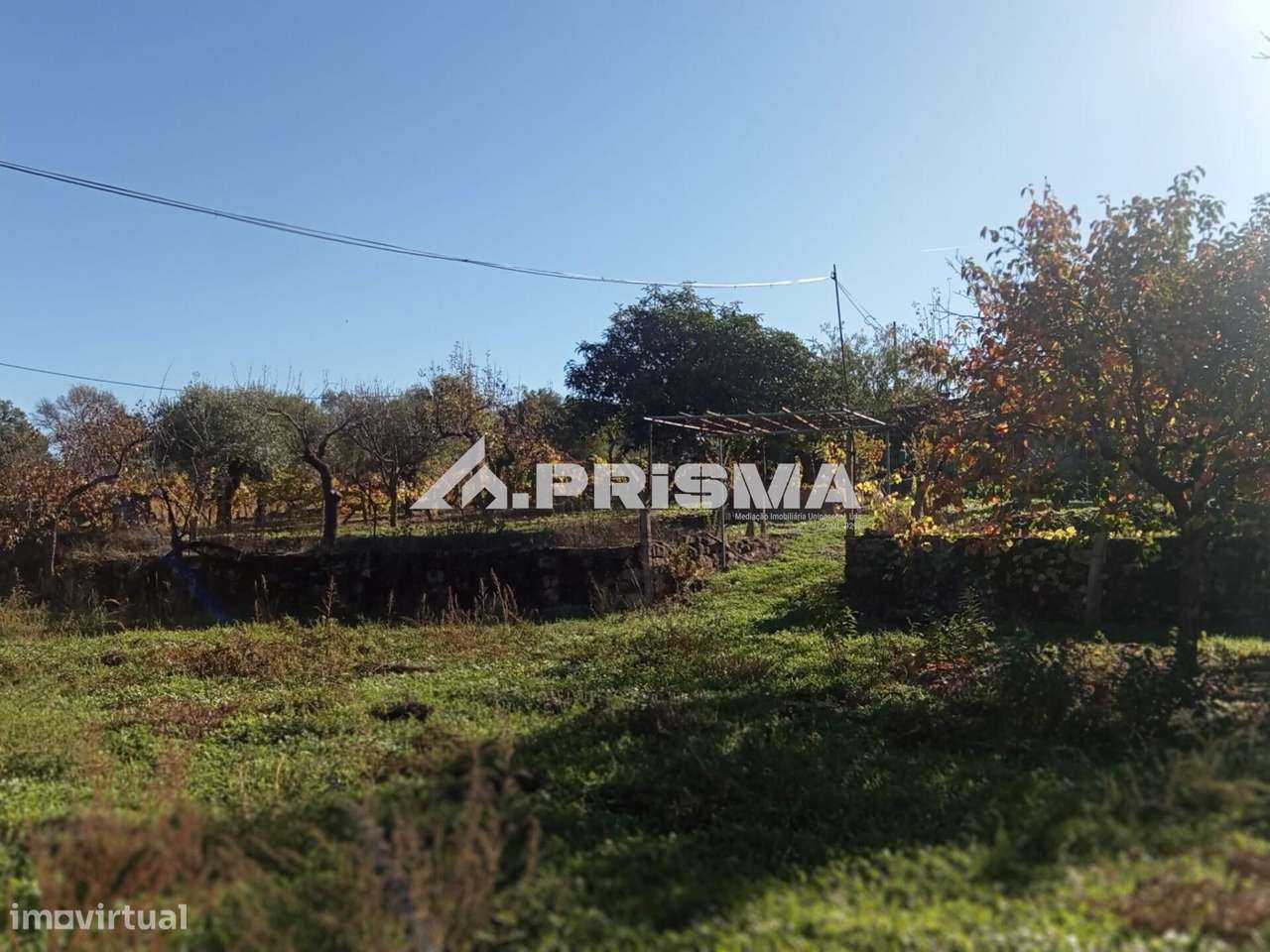 Quintinha para venda com construção rural para venda em Escalos de Bai-6