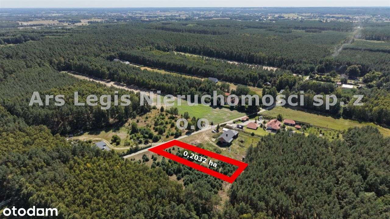 Działka, 2 032 m², Albertów-2