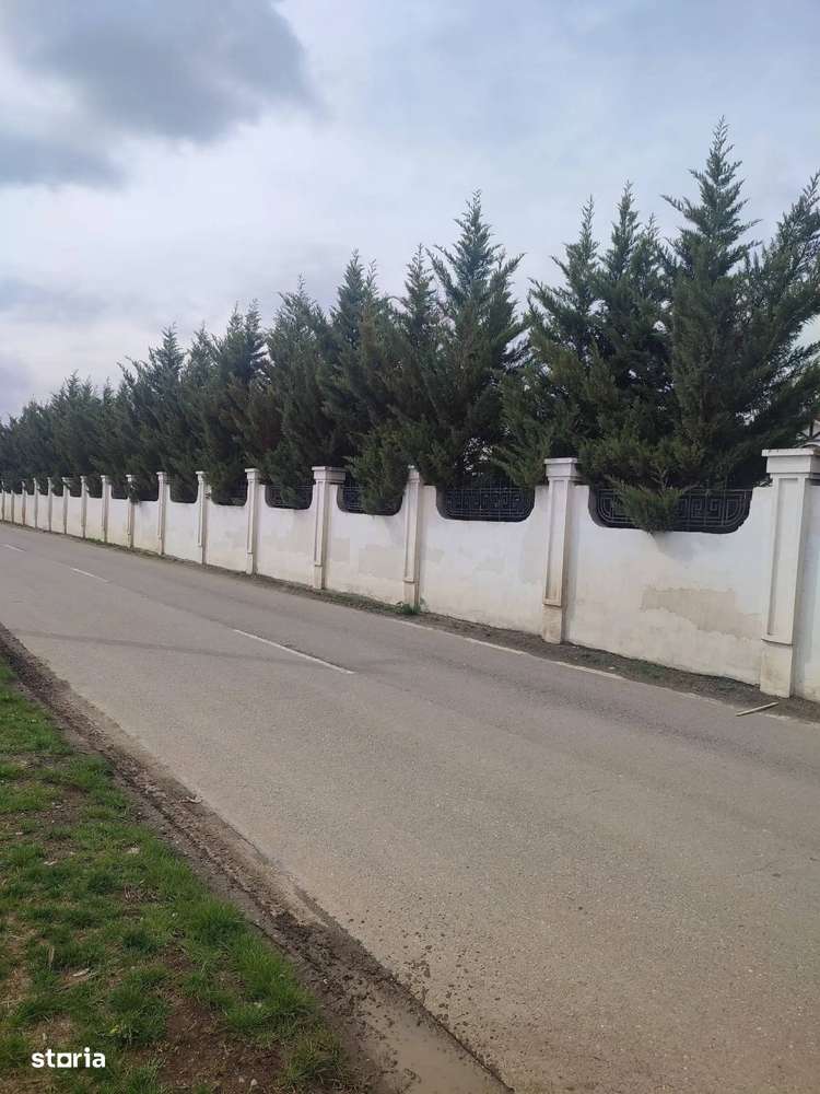 Teren 13500 mp Ostratu | Zona Rezidentiala | La Strada | Utilitati - Imagine principală: 2/7