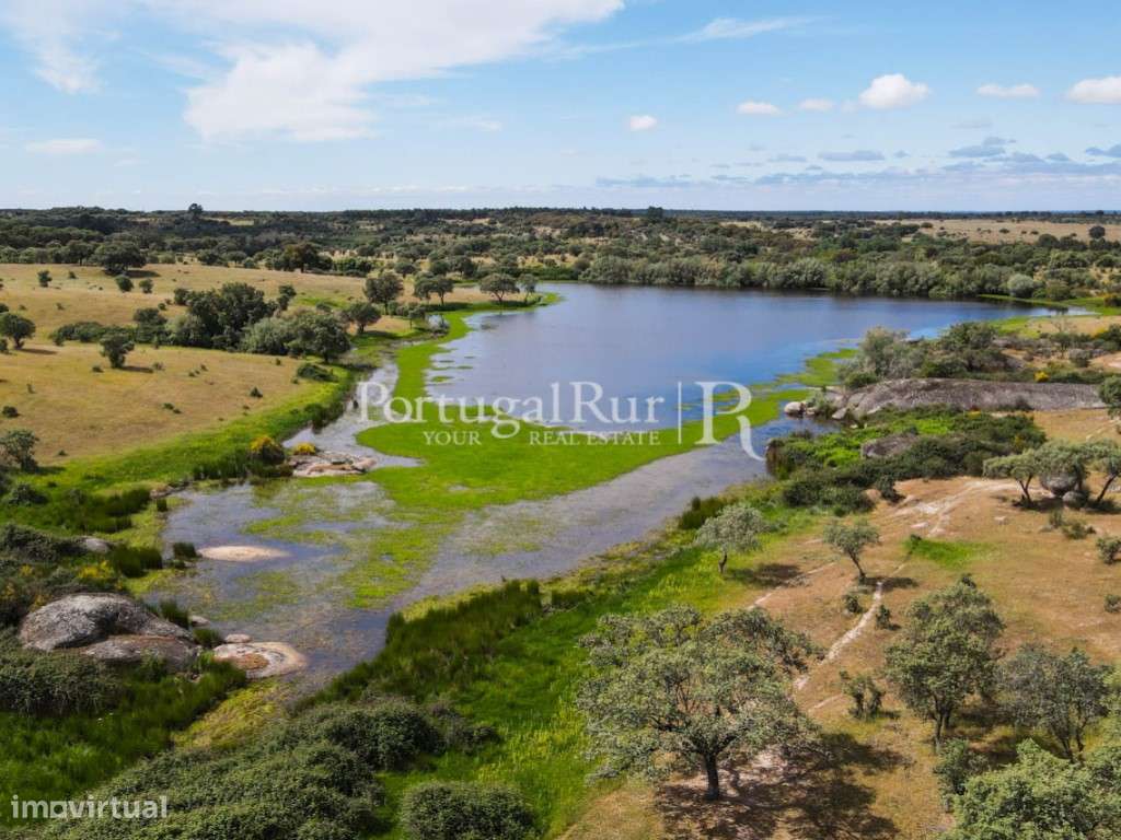 Herdade de 186 Hectares no Crato - Grande imagem: 5/52