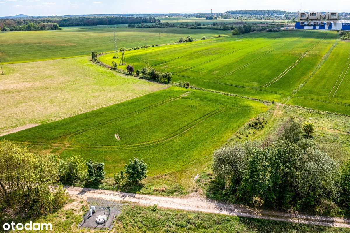 Duża działka przemysłowa przy Bolesławcu - Pełny obrazek: 4/17