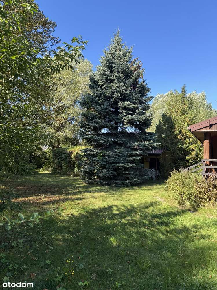 Dom jednorodzinny Jaktorów - działka 2425m2 - Pełny obrazek: 4/16